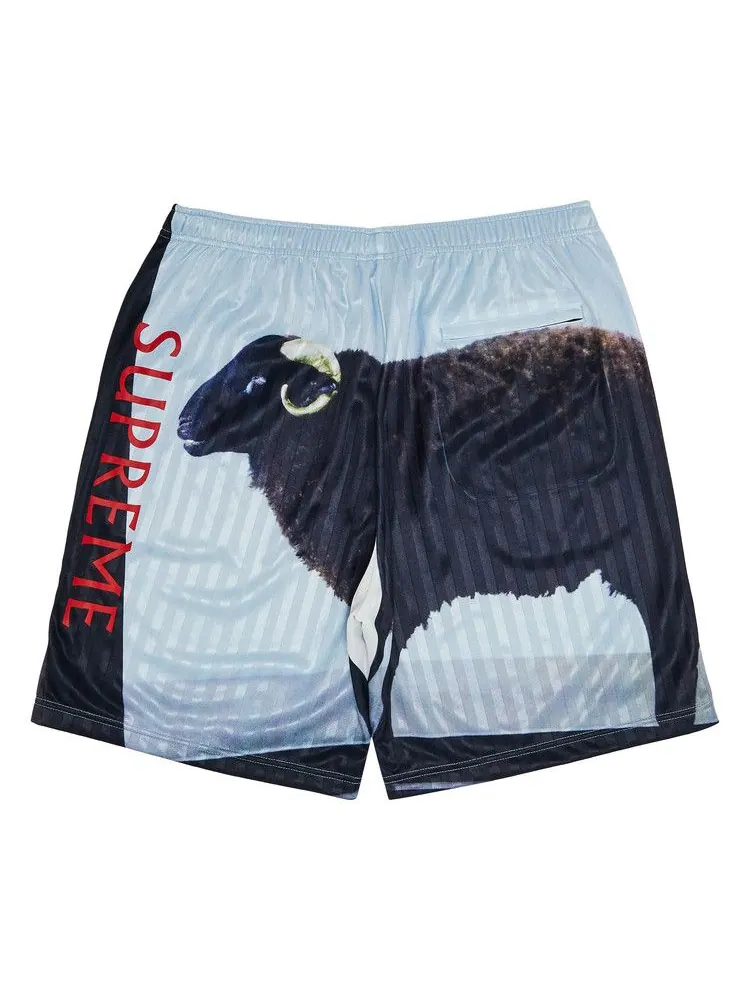 Шорты Supreme x Damien Hirst Soccer Short — изображение 2 из 3, черный