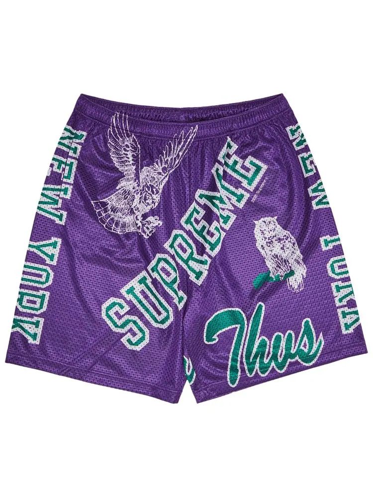 Шорты Supreme Varsity Mesh — изображение 1 из 3, фиолетовый