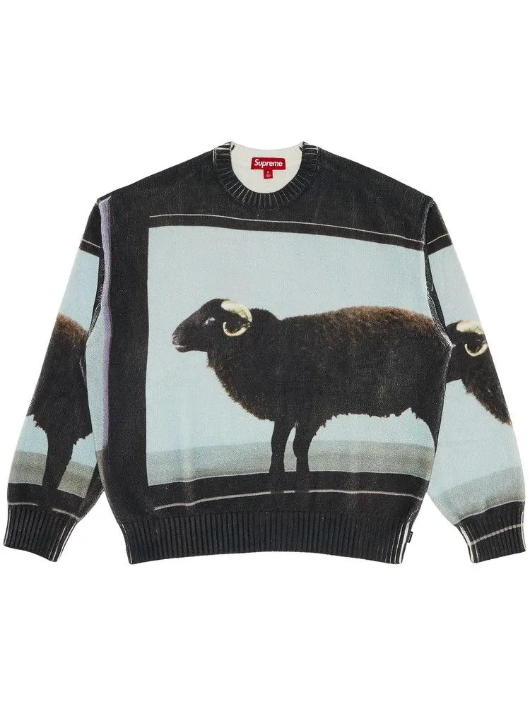 Свитер Supreme x Damien Hirst Sweater — изображение 1 из 3, черный