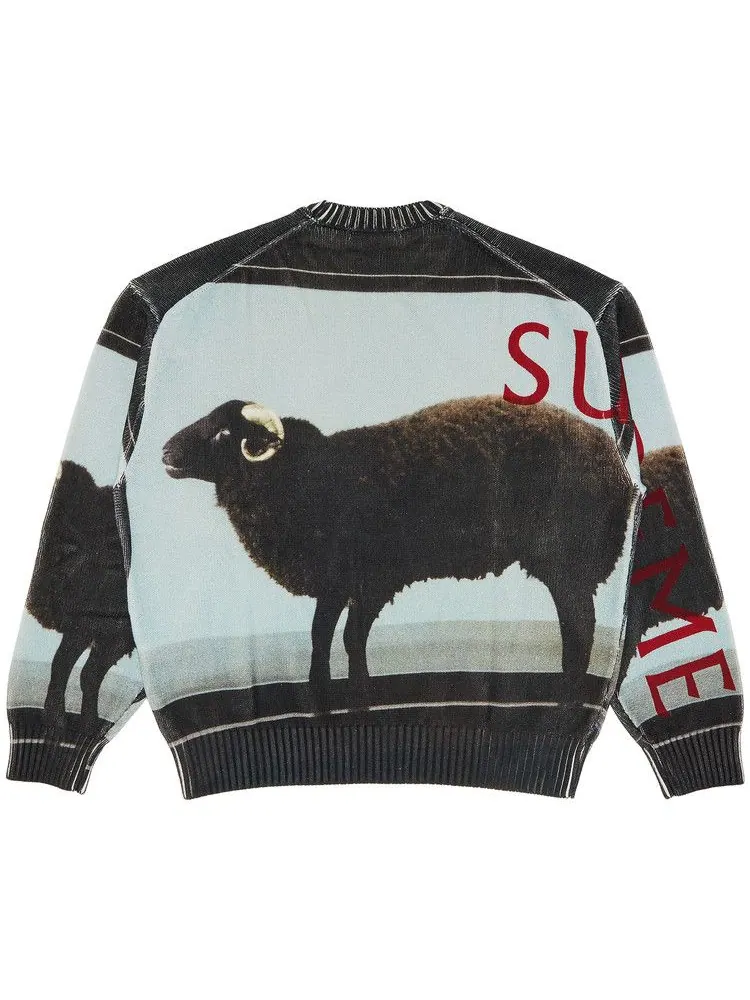 Свитер Supreme x Damien Hirst Sweater — изображение 2 из 3, черный