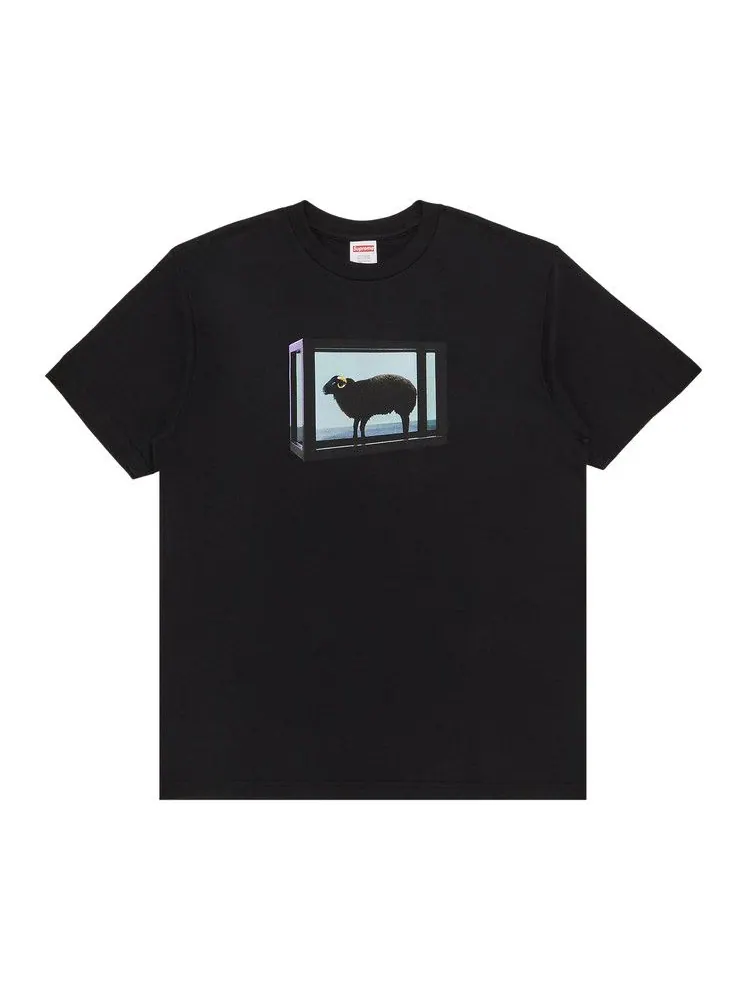 Футболка Supreme x Damien Hirst Tee
