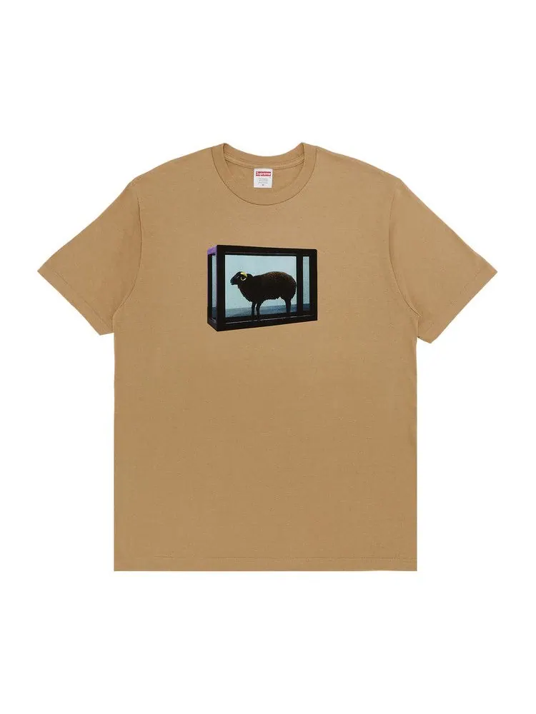 Футболка Supreme x Damien Hirst Tee
