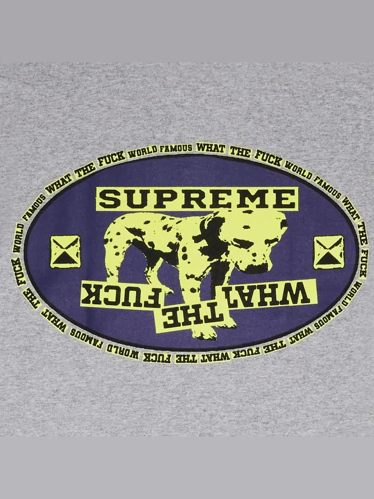 Футболка Supreme Dalmatian Tee — изображение 3 из 3, серый