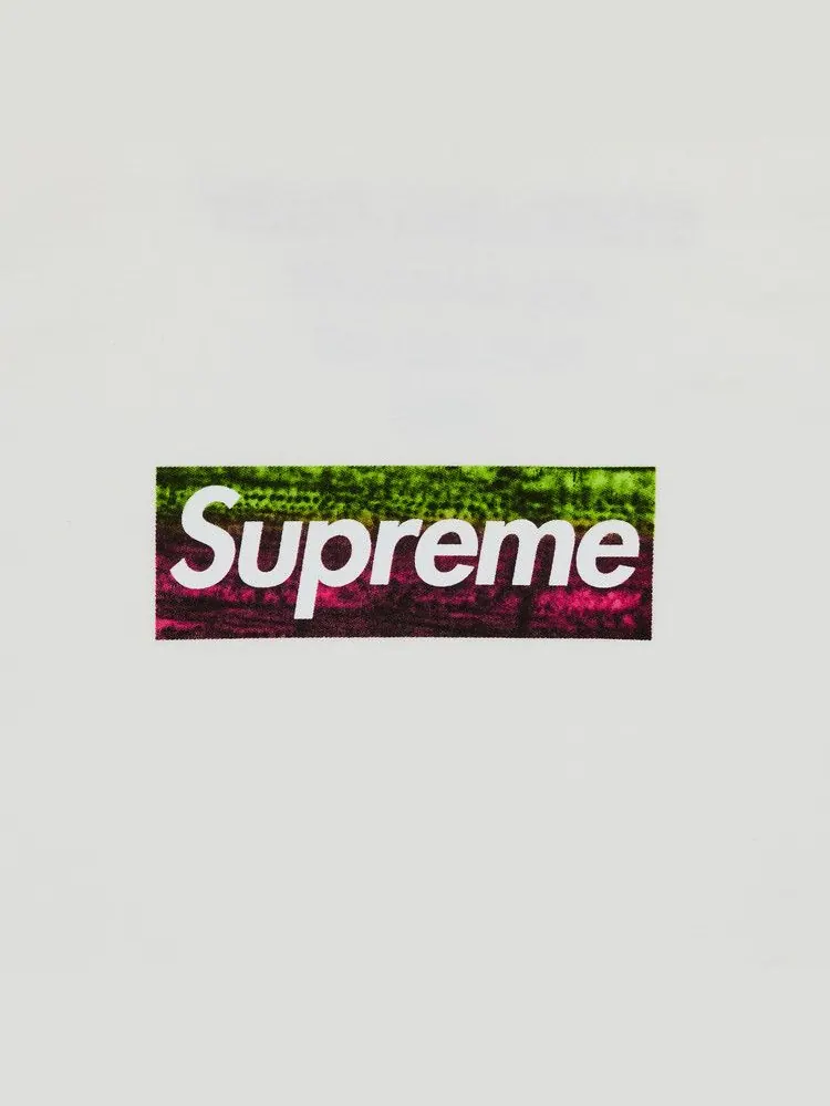 Футболка Supreme Los Angeles Fire Relief Box Logo Tee — изображение 3 из 3, белый