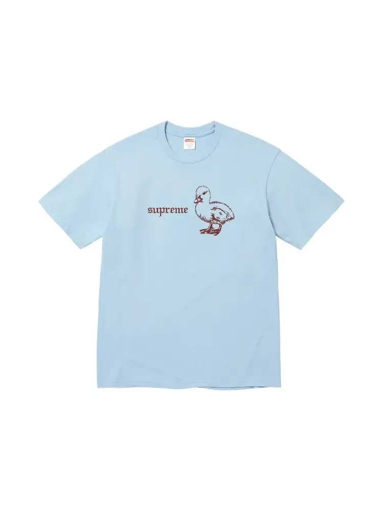 Футболка Supreme Duck Tee — изображение 1 из 1, пыльно-голубой