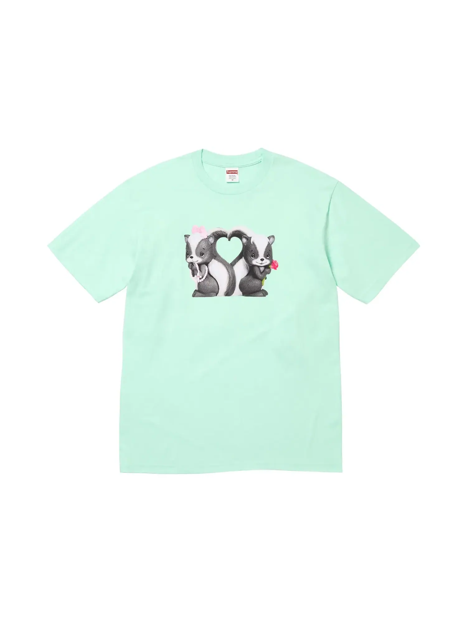 Футболка Supreme Skunk Tee — изображение 1 из 1, мята