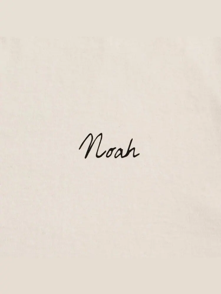 Лонгслив Noah Long-Sleeve Mountain Goat Tee 'Natural' — изображение 3 из 3, загар