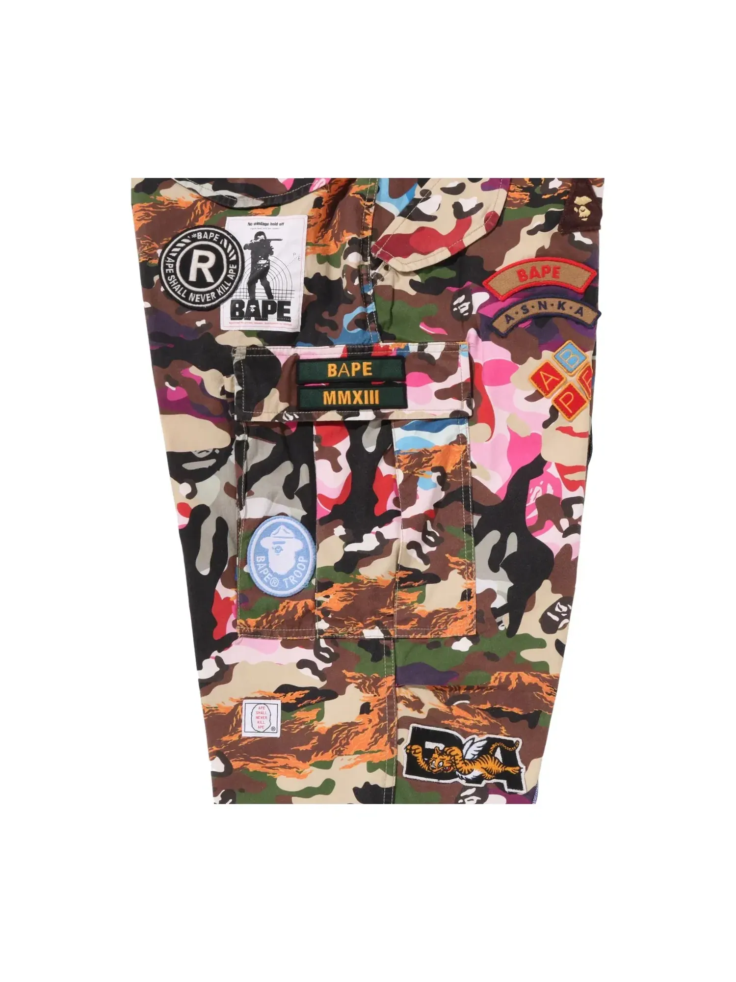 Мужские карго-брюки с принтом Hybrid Camo модель Multi Badge A Bathing Ape — изображение 3 из 5, мульти