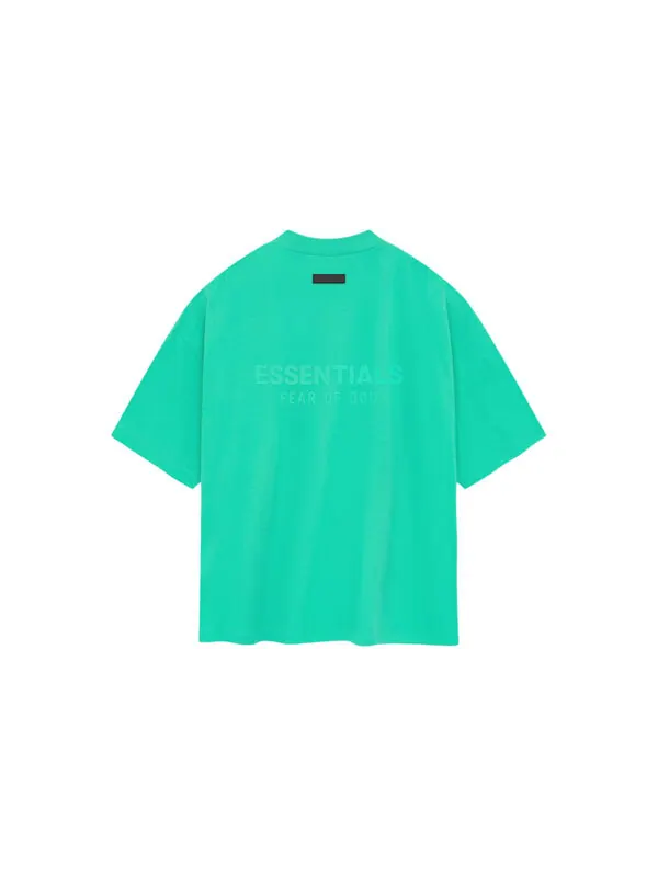 Футболка ss24 v neck t-shirt 'mint leaf' Fear Of God Essentials — изображение 3 из 3, мятный