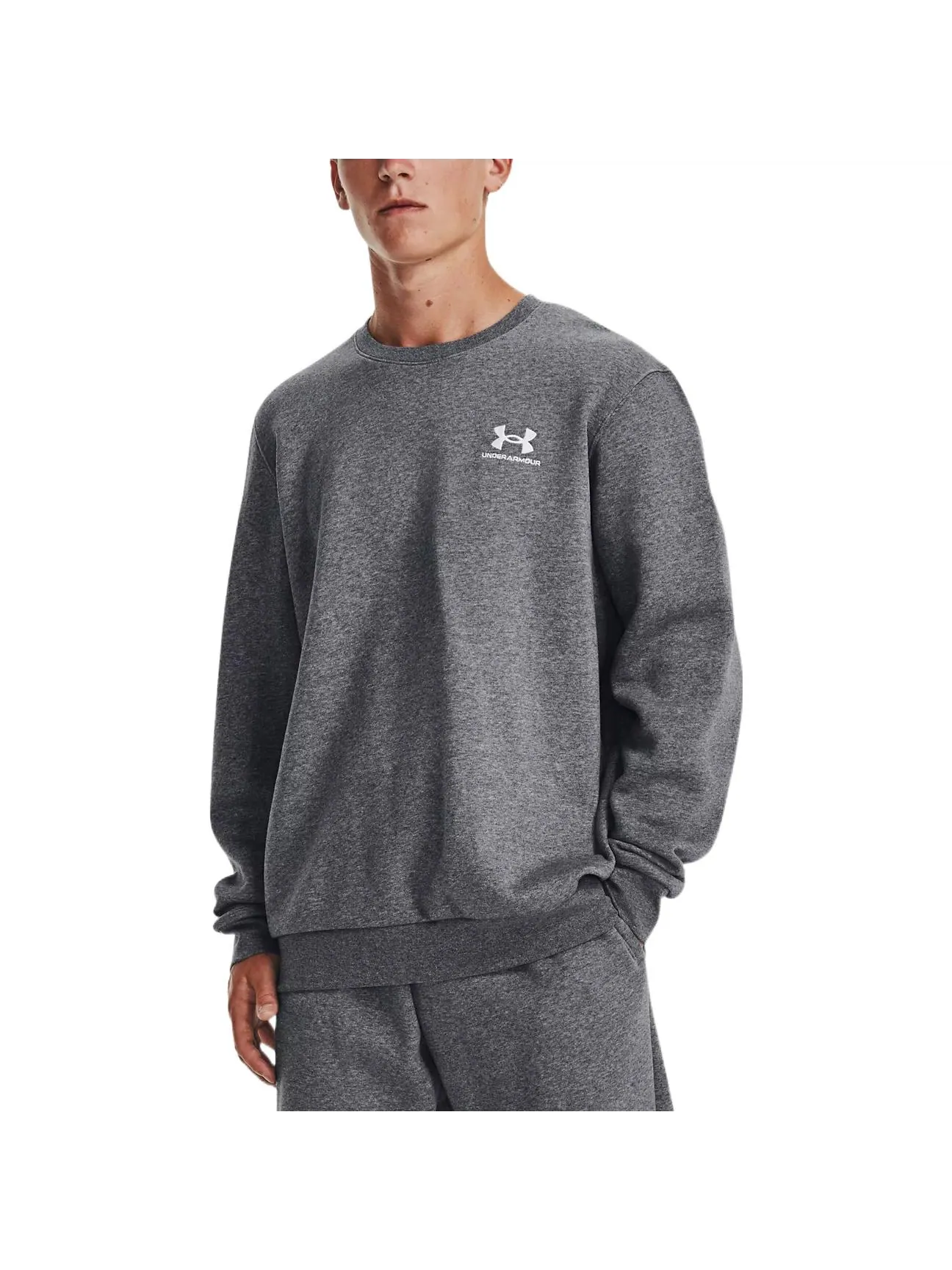 Свитшот Under Armour UA Icon Fleece — изображение 4 из 6, серый