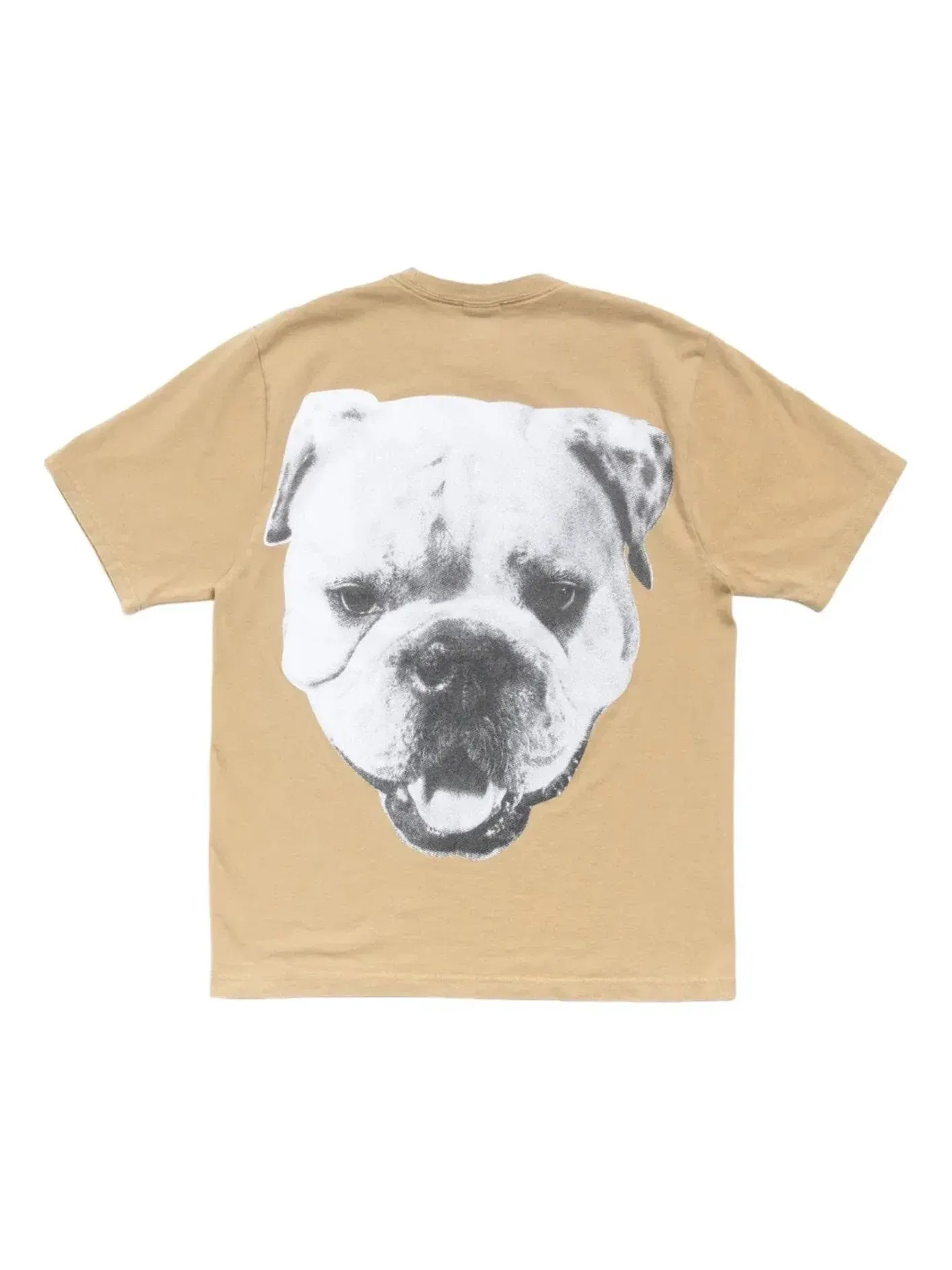 Мужская футболка с принтом Stussy Big Dog Stone Washed — изображение 1 из 2, бежевый