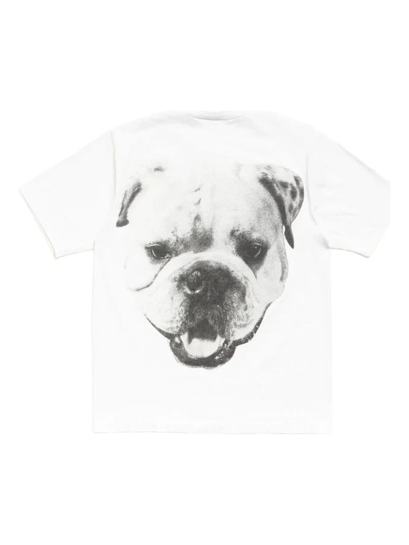 Мужская футболка с принтом Stussy Big Dog Stone Washedy — изображение 1 из 2, белый