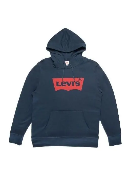 Худи Levi's Graphic Hoodie 'Blue' — изображение 1 из 4, синий