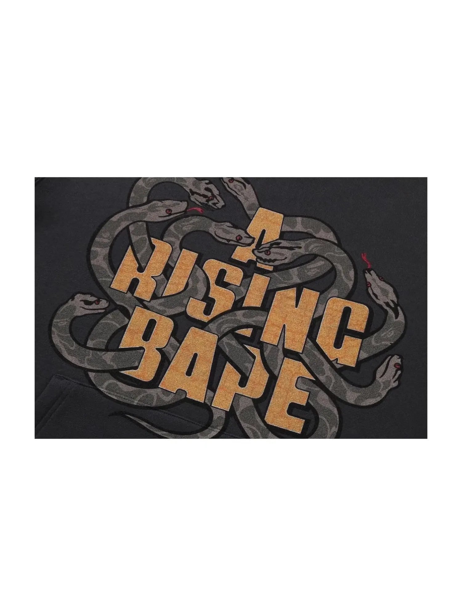 Мужское худи с принтом Year of Snake A Bathing Ape — изображение 2 из 3, черный