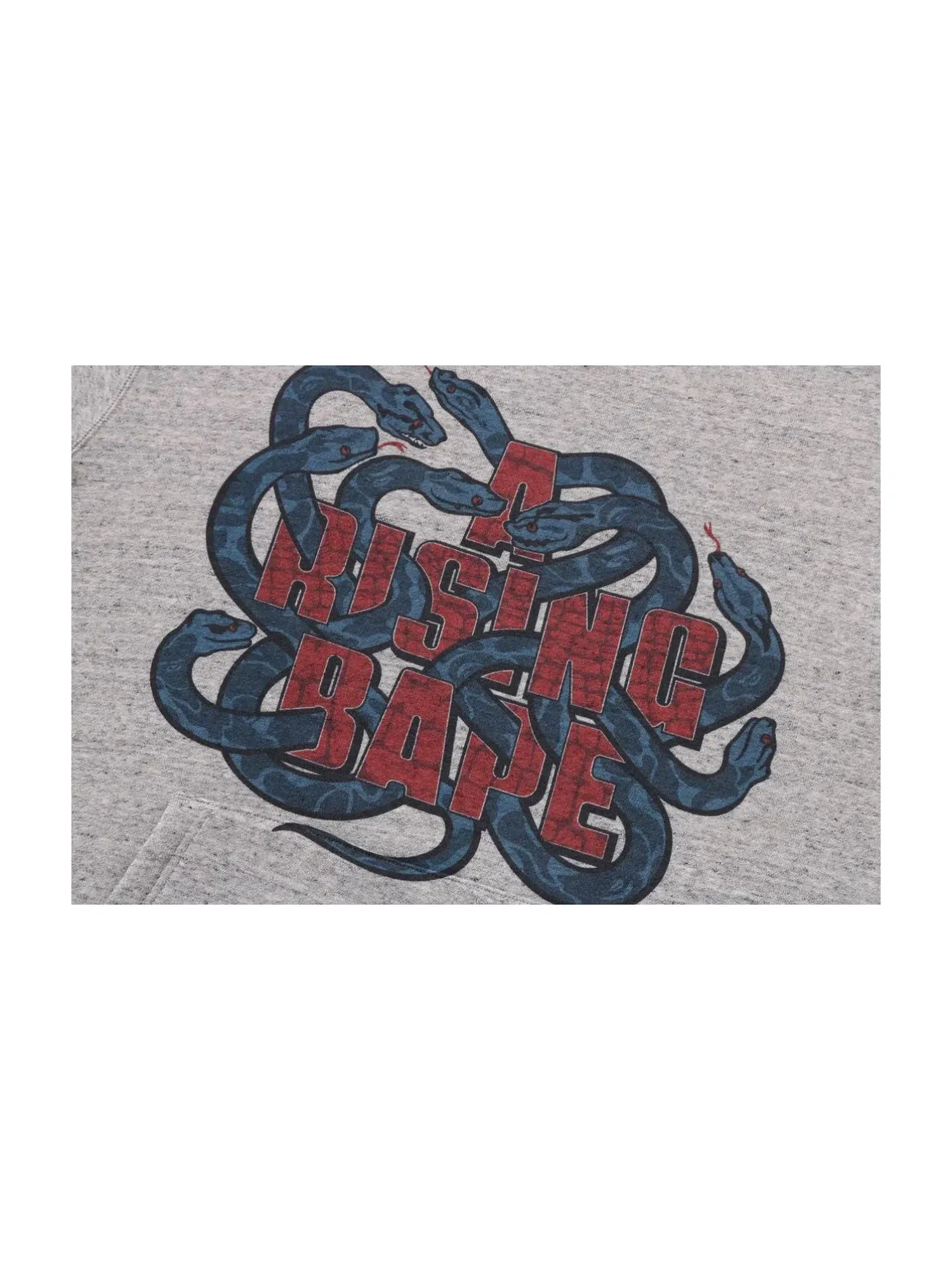 Мужское худи с принтом Year of Snake A Bathing Ape — изображение 2 из 3, серый