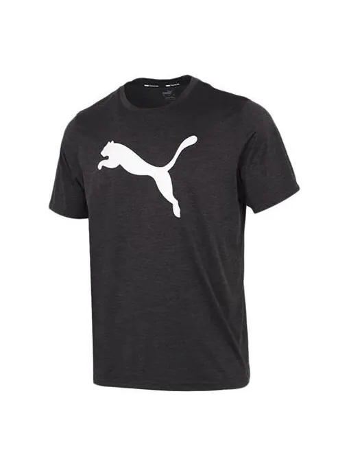 Футболка train favorite heather t-shirt 'black' Puma — изображение 1 из 4, черный/белый