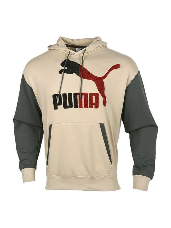 Толстовка colorblock hooded sports gray green brown colorblock Puma — изображение 1 из 4, мульти