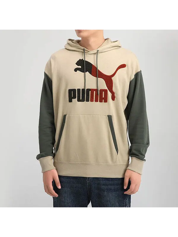 Толстовка colorblock hooded sports gray green brown colorblock Puma — изображение 3 из 4, мульти