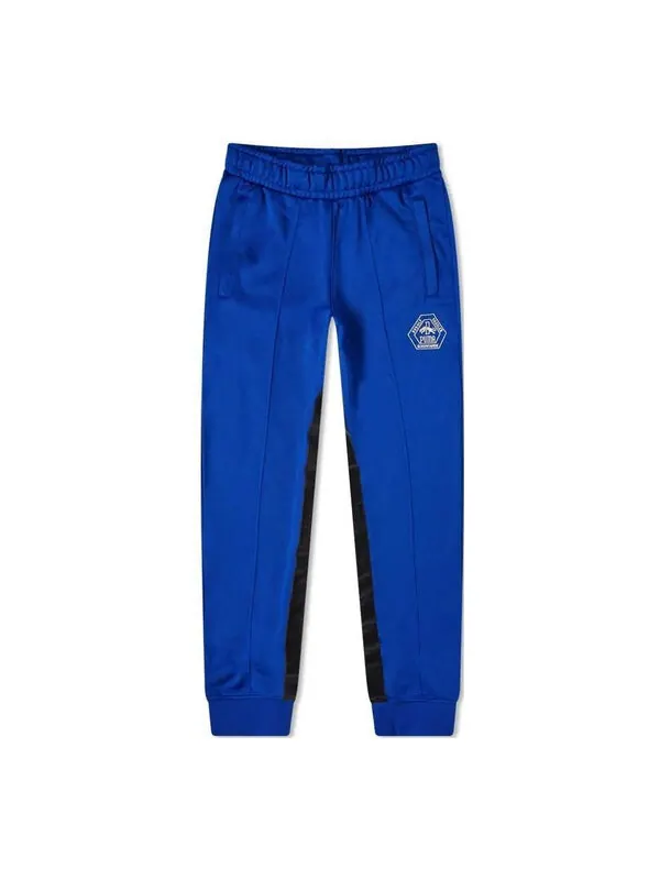 Брюки track pants 'blue' Puma — изображение 1 из 1, синий