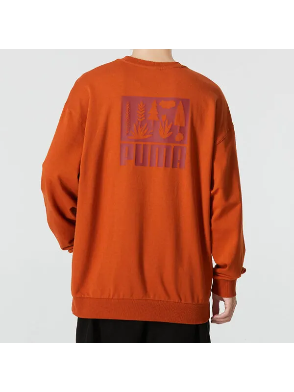 Свитер logo crew neck sweatshirt 'orange' Puma — изображение 4 из 4, оранжевый/желтый