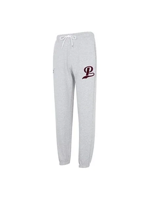Брюки team sweatpants 'grey' Puma — изображение 1 из 4, серый/черный