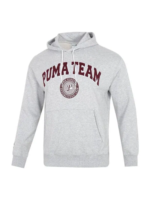 Толстовка team hoodie 'grey' Puma — изображение 1 из 4, серый/бордовый
