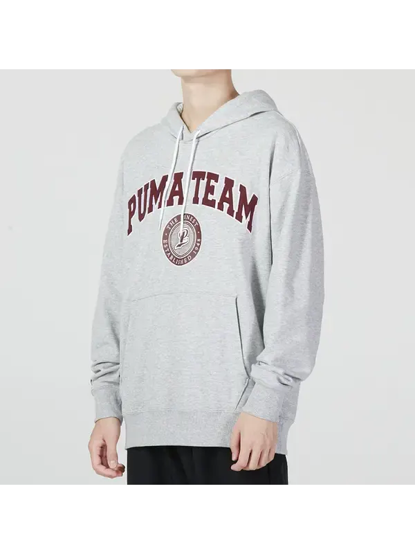 Толстовка team hoodie 'grey' Puma — изображение 4 из 4, серый/бордовый
