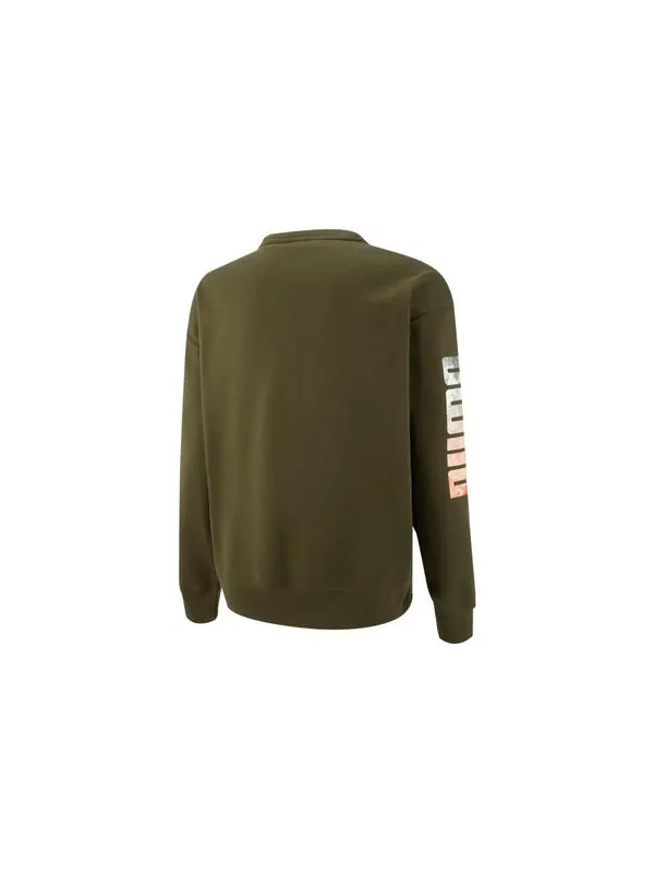 Свитер modulerwear crew neck 'green' Puma — изображение 2 из 2, зеленый/желтый/синий