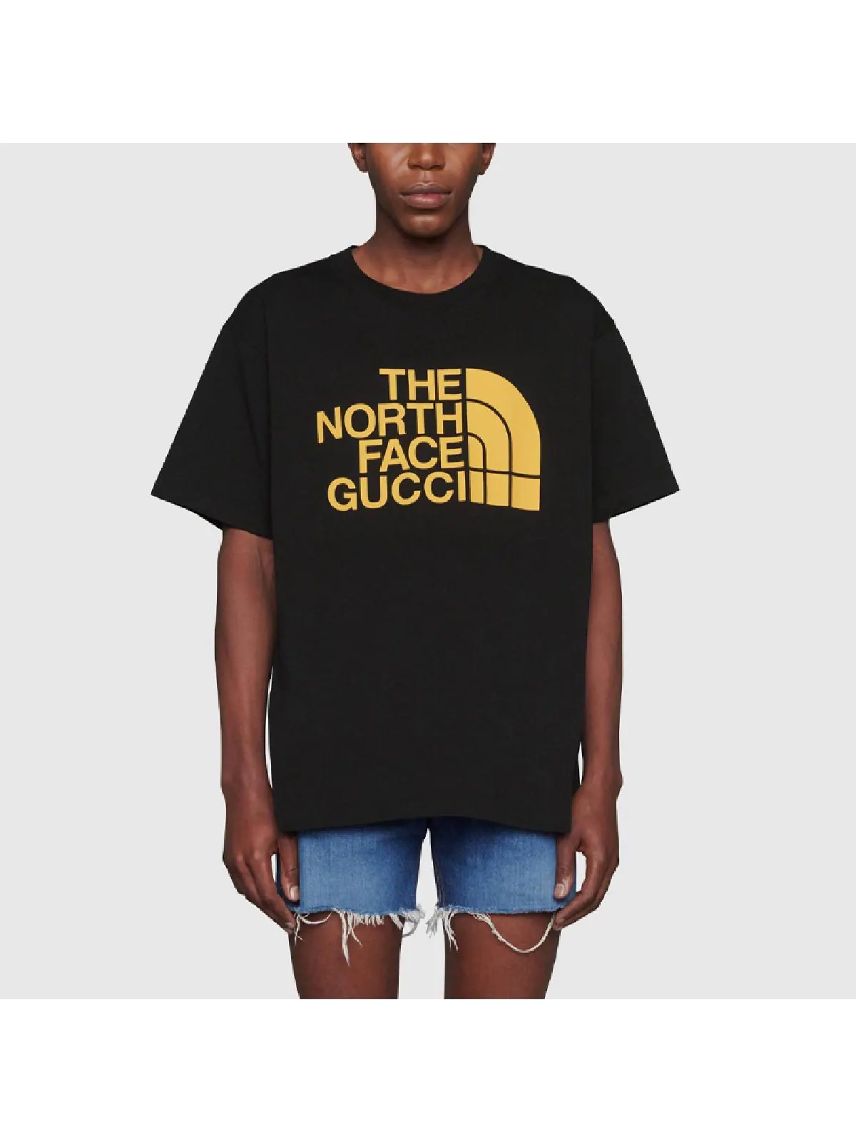 Футболка Gucci x The North Face Logo, мужская — изображение 1 из 6, черный