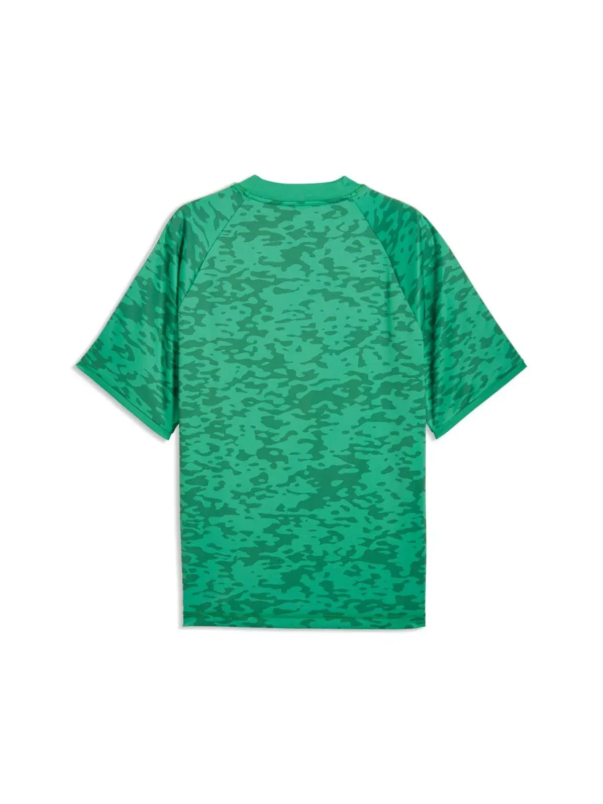 Футболка PUMA x MOROCCO x SALEHE BEMBURY KING Jersey 'Jade Frost' 635131-56 — изображение 2 из 2, зеленый