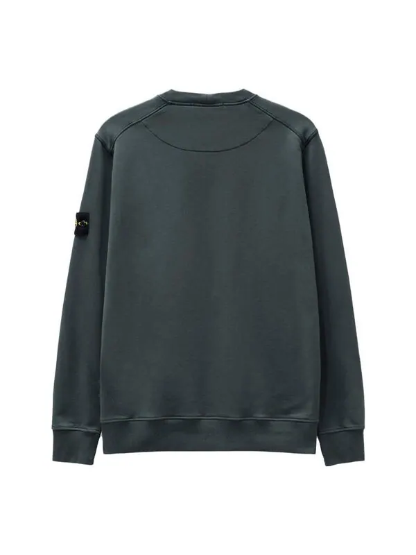 Толстовка crewneck sweatshirt 'grey' Stone Island — изображение 2 из 4, серый/зеленый