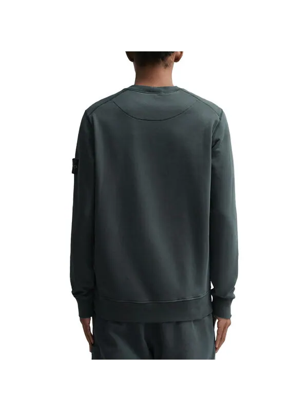 Толстовка crewneck sweatshirt 'grey' Stone Island — изображение 4 из 4, серый/зеленый