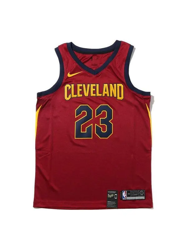 Майка Nike NBA Jersey icon edition Basketball SW Fan Edition Cleveland Cavaliers LeBron James No — изображение 1 из 4