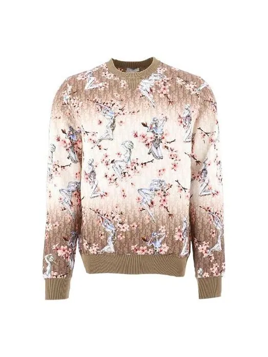 Толстовка x sorayama all over graphic print sweatshirt m brown Dior