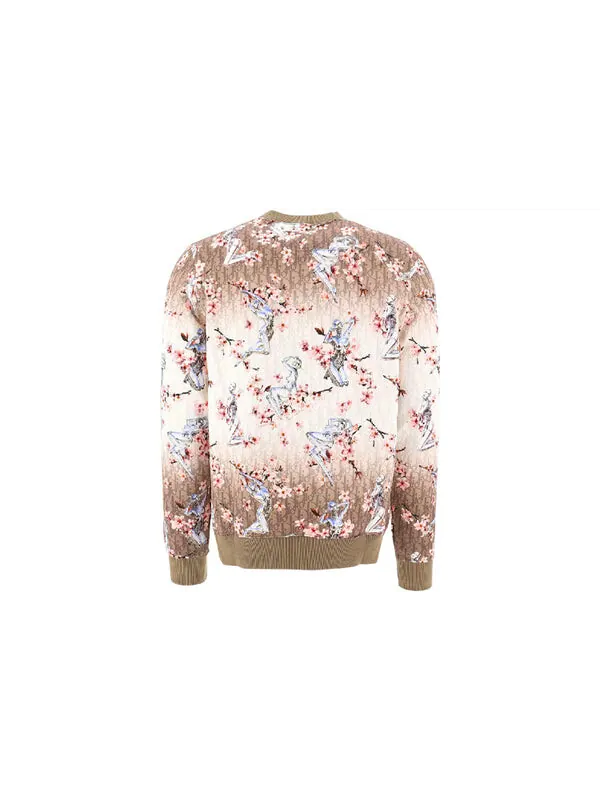 Толстовка x sorayama all over graphic print sweatshirt m brown Dior — изображение 2 из 2, коричневый