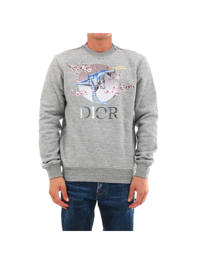 Худи DIOR Tyrannosaurus Rex Cherry Blossom Zipper Sweater Unisex Grey — изображение 2 из 5, серый