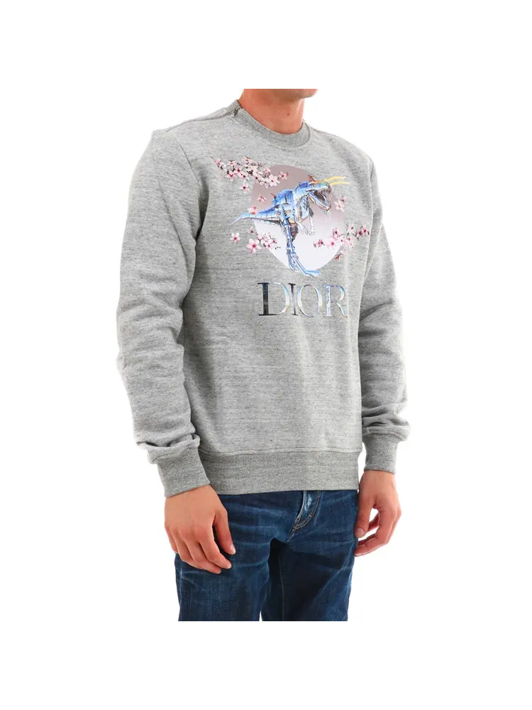 Худи DIOR Tyrannosaurus Rex Cherry Blossom Zipper Sweater Unisex Grey — изображение 4 из 5, серый