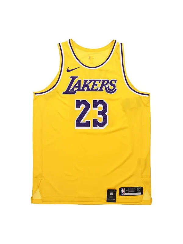 Майка Nike NBA AU Player Edition lakers LeBron James Connected Jersey Sports Basketball Yellow — изображение 1 из 4, желтый