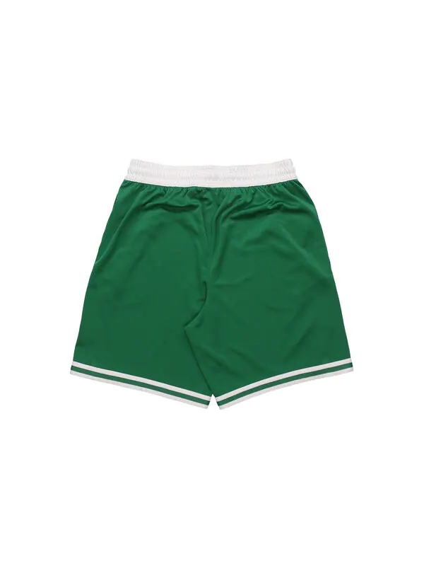 Шорты boston celtics icon edition swingman sw fan edition celtics team limited баскетбольные шорты Nike — изображение 2 из 4