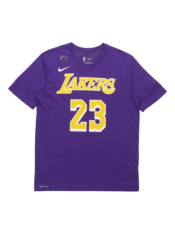 Футболка Nike NBA James LeBron James lakers limited Jersey Short Sleeve Purple — изображение 1 из 4, фиолетовый