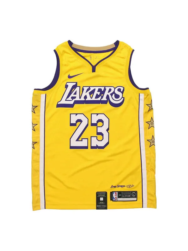 Майка Nike NBA City limited Basketball Vest SW Fan Edition 19-20 Season Lakers LeBron James 23 — изображение 1 из 4, желтый