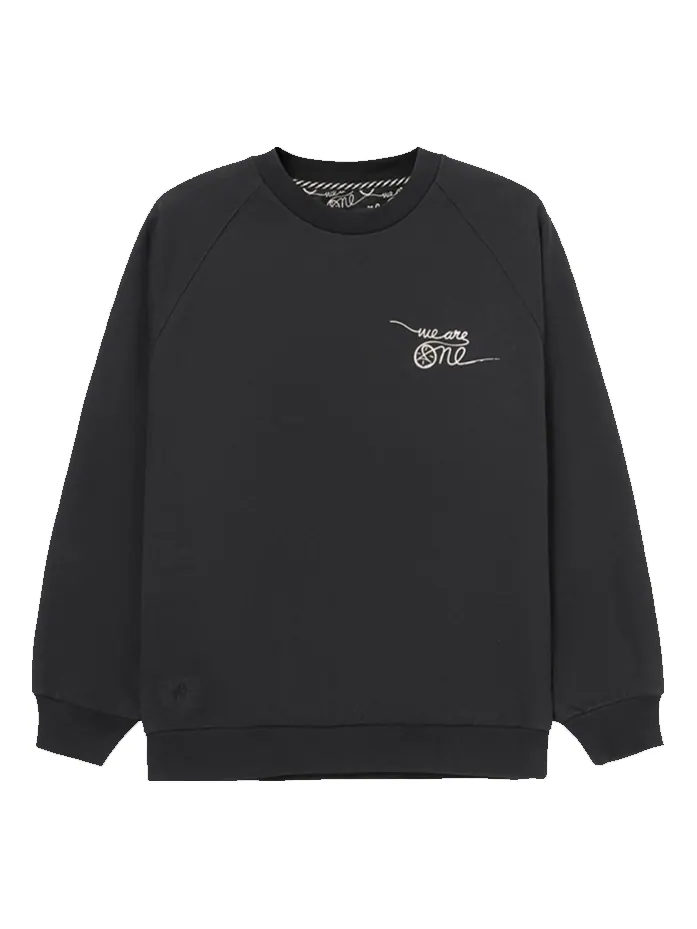Спортивная толстовка Li-Ning x DFT Way Of Wade Graphic Sweatshirt 'Black' AWDRE79-1 — изображение 1 из 2, черный