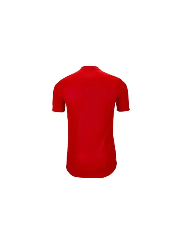 Футболка adidas 2018 World Cup Spain Jersey Red — изображение 2 из 4, красный