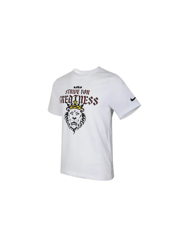 Футболка Nike Dri-FIT Lebron Strive For Greatness DRI-FIT TEE Men White — изображение 3 из 4, белый