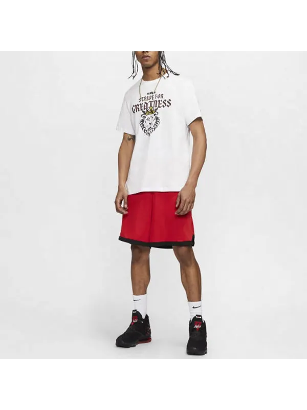 Футболка Nike Dri-FIT Lebron Strive For Greatness DRI-FIT TEE Men White — изображение 4 из 4, белый