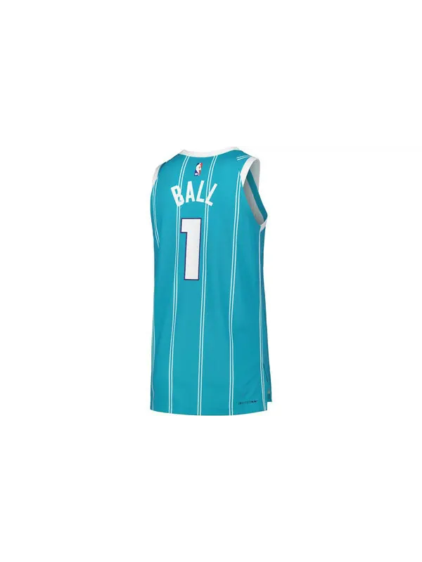 Футболка x nba charlotte hornets icon edition 22 23 dri fit swingman джерси Air Jordan — изображение 2 из 3, синий/белый