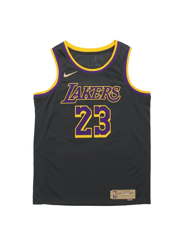 Майка Nike NBA Basketball Jersey/Vest Version SW Fan Edition Los Angeles Lakers LeBron James No. 23 — изображение 1 из 2
