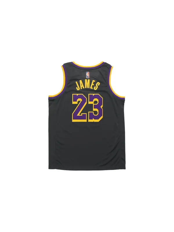 Майка Nike NBA Basketball Jersey/Vest Version SW Fan Edition Los Angeles Lakers LeBron James No. 23 — изображение 2 из 2
