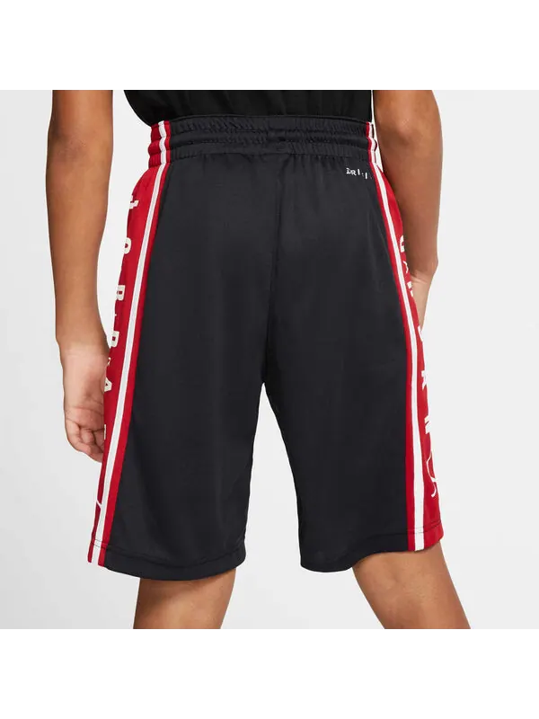 Шорты dri fit шорты Air Jordan — изображение 4 из 4, черный/мульти