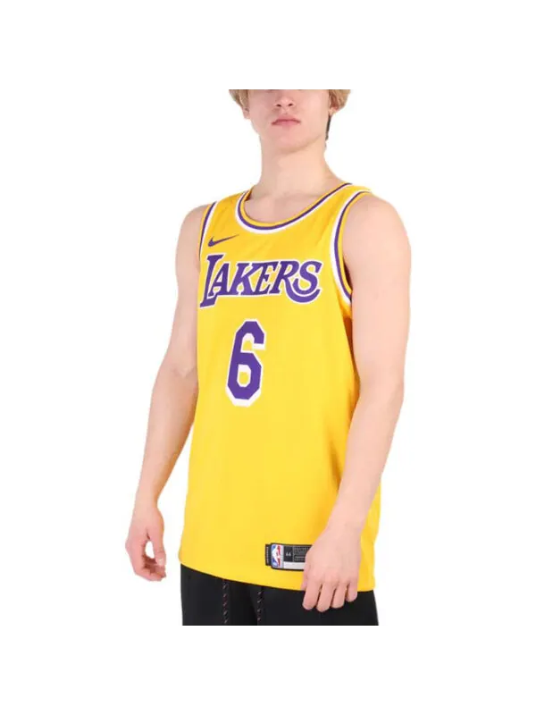 Майка Nike x NBA LA Lakers Jerseys 'LeBron James 6' — изображение 4 из 4, желтый/мульти
